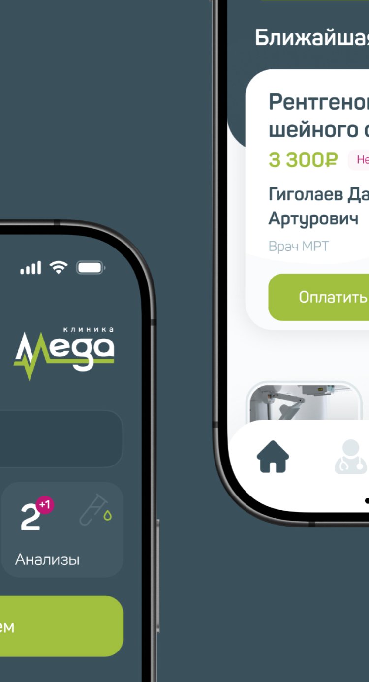 Разработка мобильного приложения  Mega